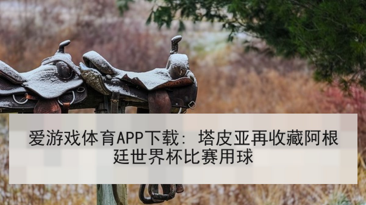 爱游戏体育APP下载: 塔皮亚再收藏阿根廷世界杯比赛用球