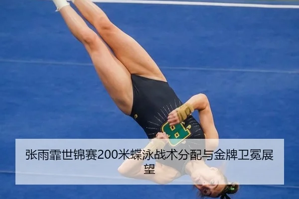 zhang-yu-fei-shi-jin-sai-mi-die-yong-zhan-shu-fen-pei-yu-jin-pai-wei-mian-zhan-wang-3-244.jpg