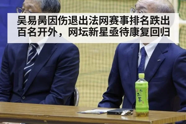 吴易昺因伤退出法网赛事排名跌出百名开外，网坛新星亟待康复回归