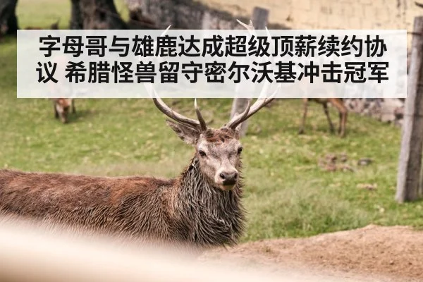 字母哥与雄鹿达成超级顶薪续约协议 希腊怪兽留守密尔沃基冲击冠军